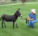 Martha Howard and her donkey